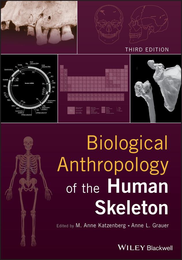 Biological Anthropology of the Human Skeleton by Anne L. Grauer, M. Anne Katzenberg