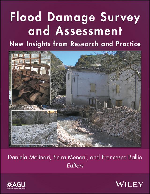 Flood Damage Survey and Assessment by Daniela Molinari, Francesco Ballio, Scira Menoni