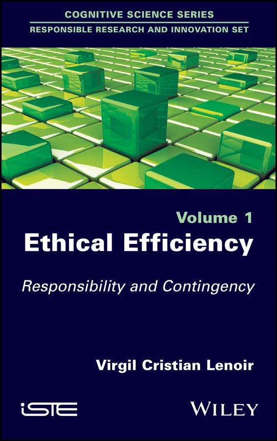 Ethical Efficiency by Virgil Cristian Lenoir