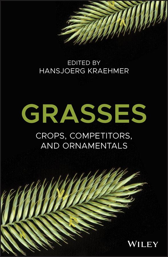 Grasses by Hansjoerg Kraehmer