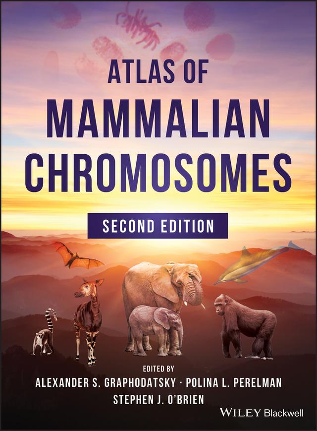 Atlas of Mammalian Chromosomes by Alexander S. Graphodatsky, Polina L. Perelman, Stephen J. O'Brien