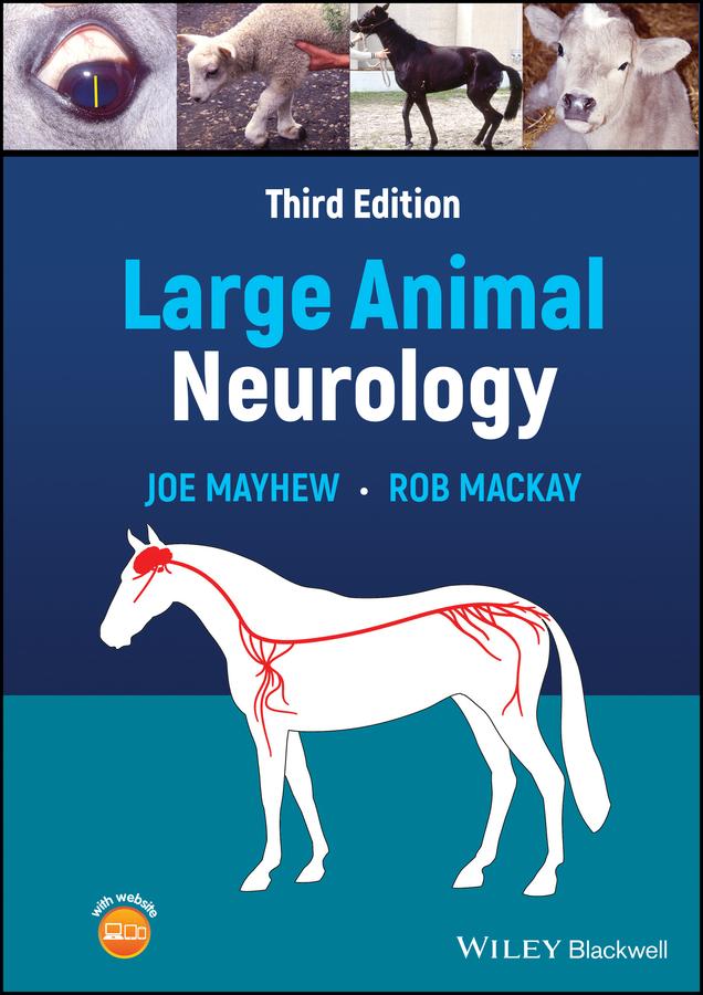Large Animal Neurology by Joe Mayhew, Rob MacKay