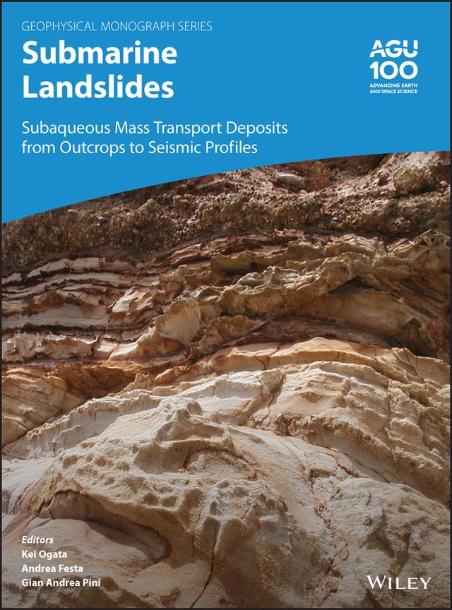 Submarine Landslides by Andrea Festa, Gian Andrea Pini, Kei Ogata