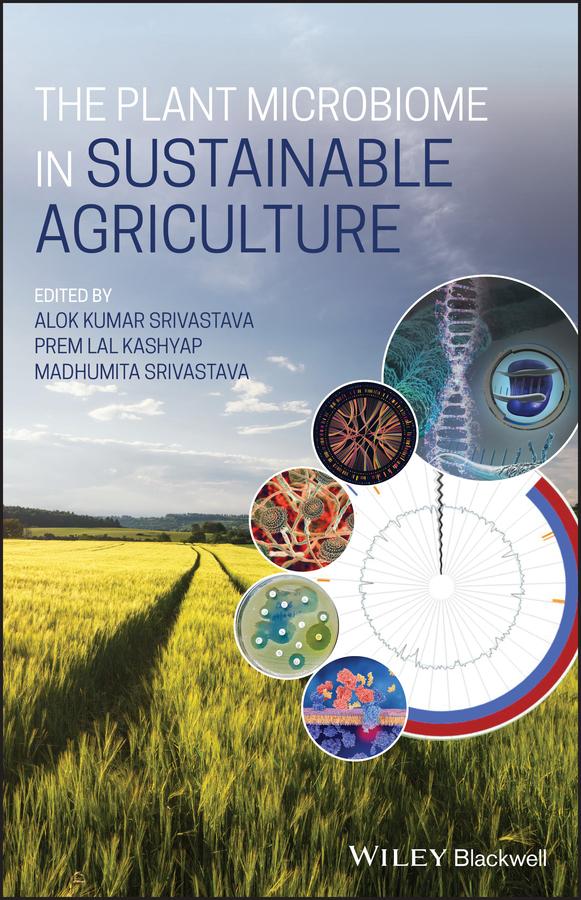The Plant Microbiome in Sustainable Agriculture by Alok Kumar Srivastava, Madhumita Srivastava, Prem Lal Kashyap