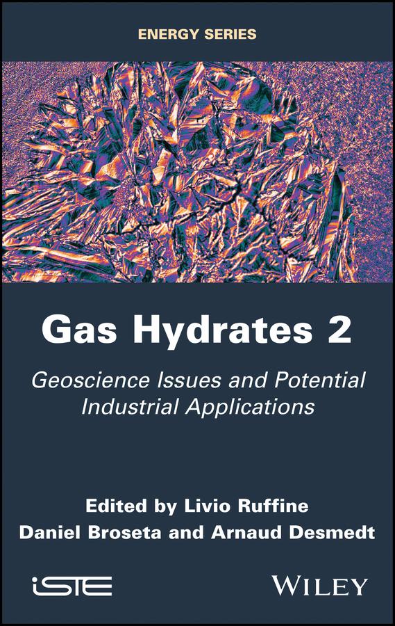 Gas Hydrates 2 by Arnaud Desmedt, Daniel Broseta, Livio Ruffine
