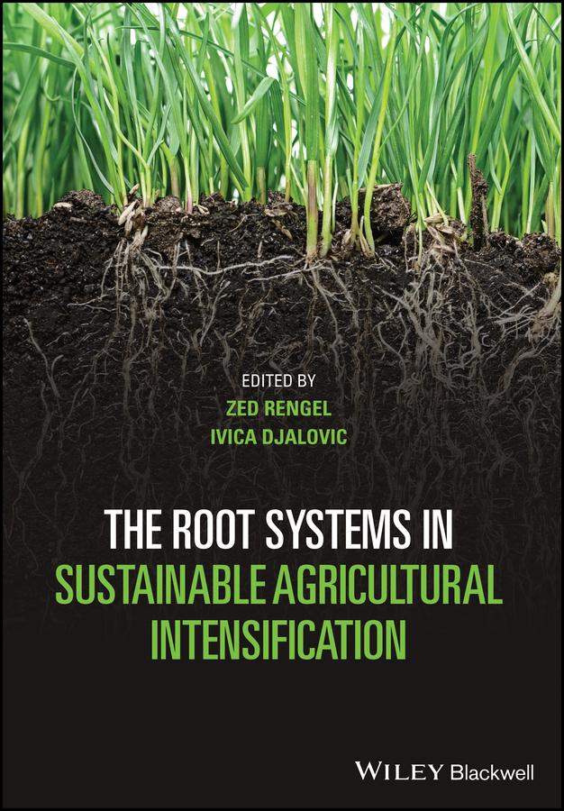 The Root Systems in Sustainable Agricultural Intensification by Ivica Djalovic, Zed Rengel