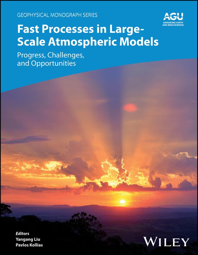 Fast Processes in Large-Scale Atmospheric Models by Leo J. Donner, Pavlos Kollias, Yangang Liu