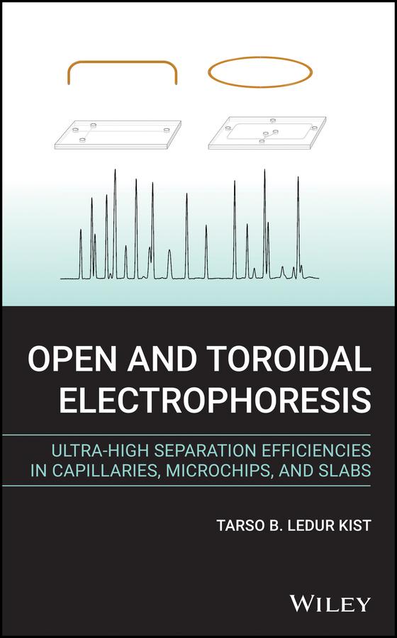Open and Toroidal Electrophoresis by Tarso B. Ledur Kist