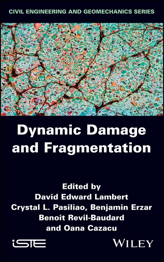 Dynamic Damage and Fragmentation by Benjamin Erzar, Benoit Revil-Baudard, Crystal L. Pasiliao, David Edward Lambert, Oana Cazacu