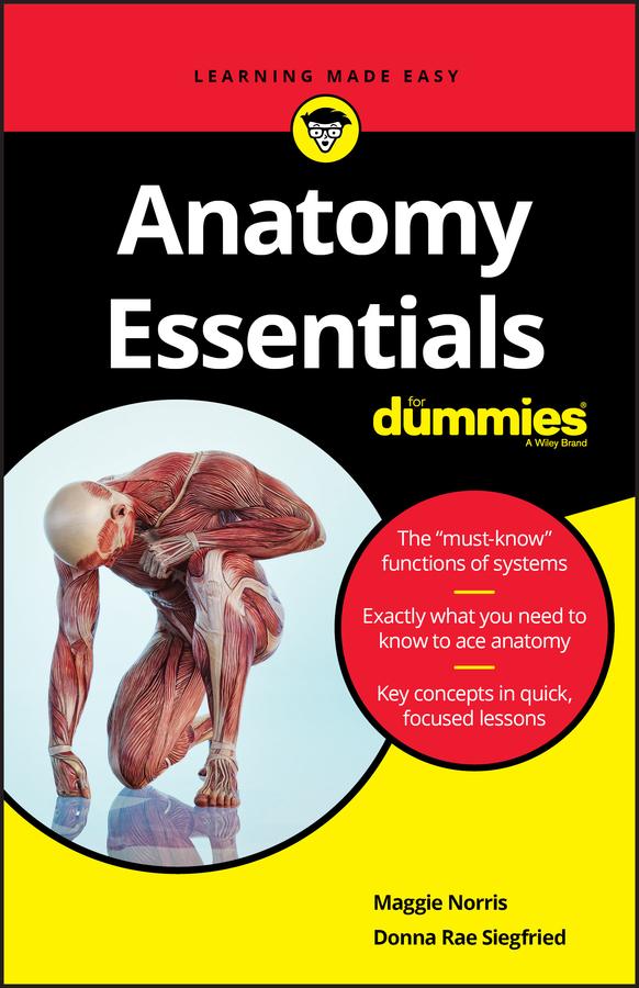 Anatomy Essentials For Dummies by Donna Rae Siegfried, Maggie A. Norris