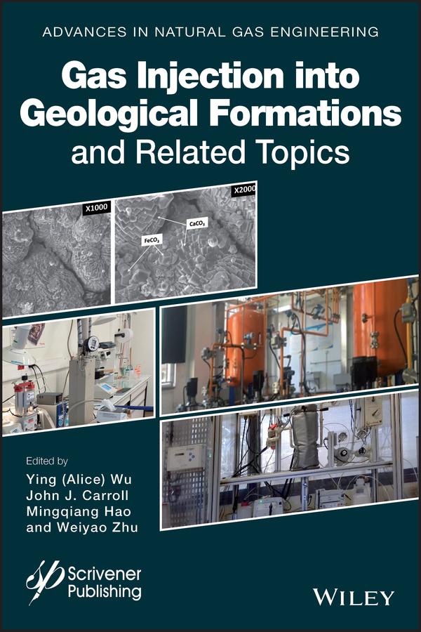Gas Injection into Geological Formations and Related Topics by Alice Wu, John J. Carroll, Mingqiang Hao, Weiyao Zhu