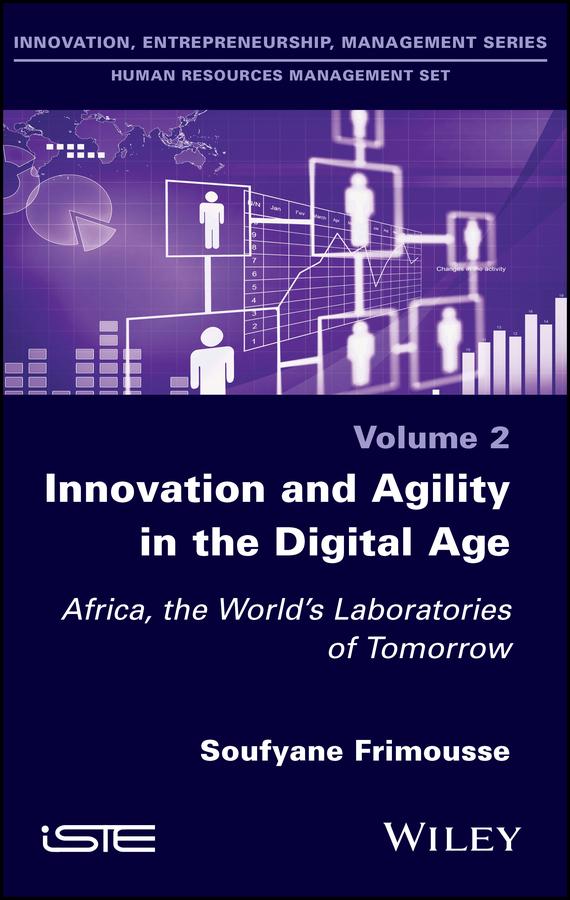 Innovation and Agility in the Digital Age by Soufyane Frimousse