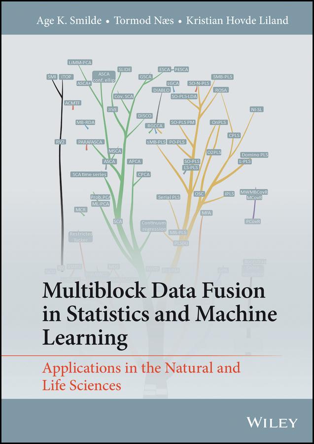 Multiblock Data Fusion in Statistics and Machine Learning by Age K. Smilde, Kristian Hovde Liland, Tormod Næs