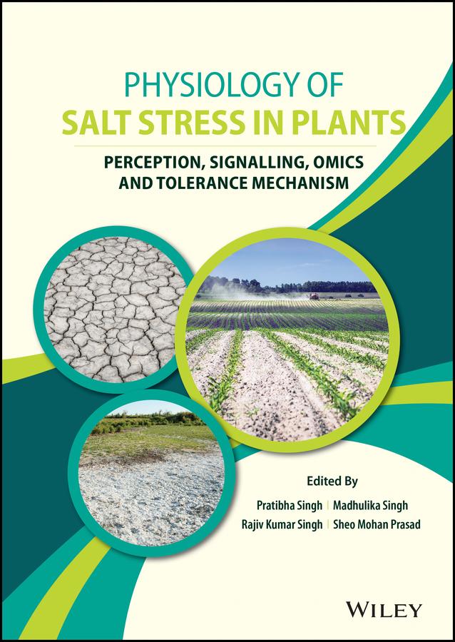 Physiology of Salt Stress in Plants by Madhulika Singh, Pratibha Singh, Rajiv Kumar Singh, Sheo Mohan Prasad