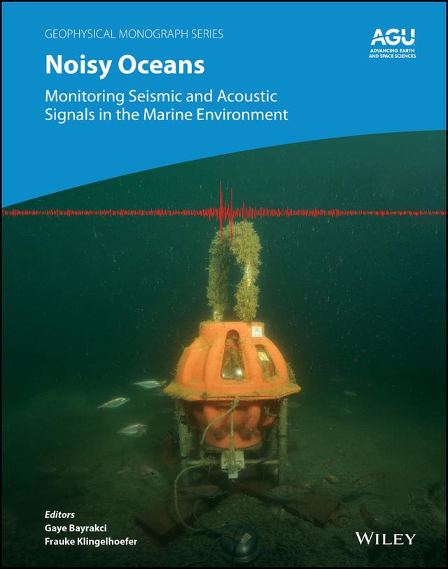 Noisy Oceans by Frauke Klingelhoefer, Gaye Bayrakci