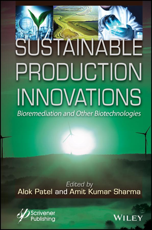 Sustainable Production Innovations by Alok Kumar Patel, Amit Kumar Sharma