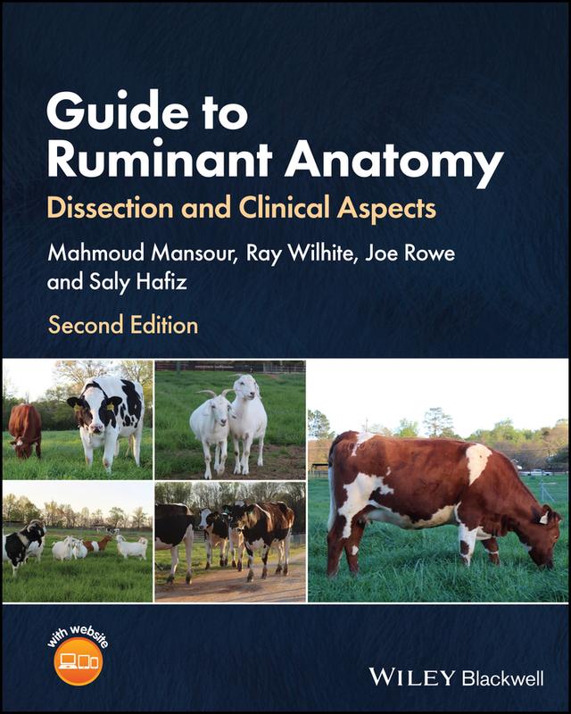 Guide to Ruminant Anatomy by Joe Rowe, Mahmoud Mansour, Ray Wilhite, Saly Hafiz
