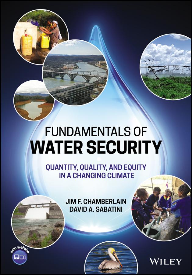 Fundamentals of Water Security by David A. Sabatini, Jim F. Chamberlain
