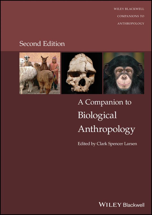 A Companion to Biological Anthropology by Clark Spencer Larsen