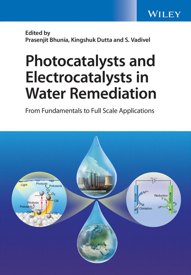 Photocatalysts and Electrocatalysts in Water Remediation by Kingshuk Dutta, Prasenjit Bhunia, S. Vadivel