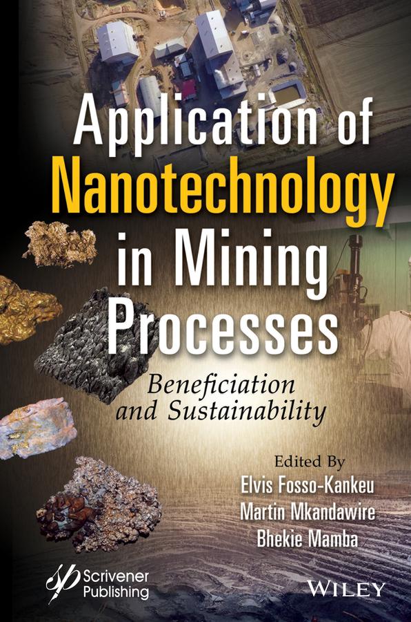 Application of Nanotechnology in Mining Processes by Bhekie B. Mamba, Elvis Fosso-Kankeu, Martin Mkandawire