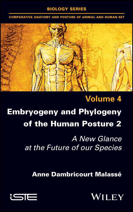 Embryogeny and Phylogeny of the Human Posture 2 by Anne Dambricourt Malasse