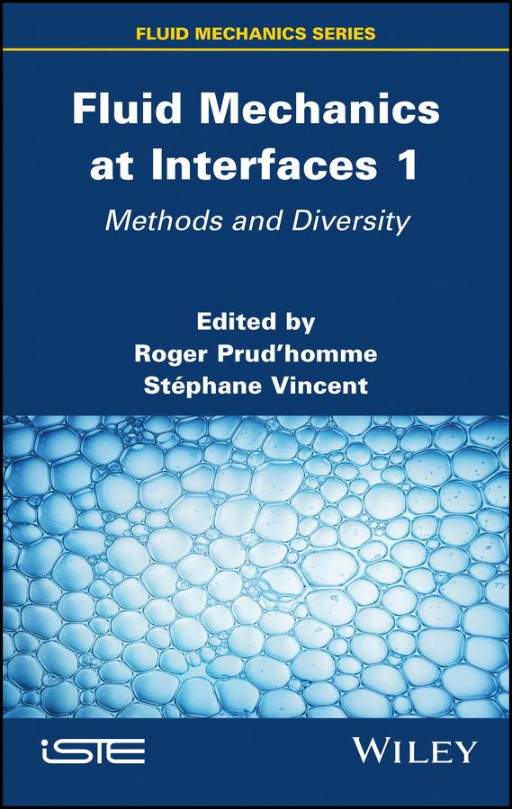 Fluid Mechanics at Interfaces 1 by Roger Prudhomme, Stephane Vincent
