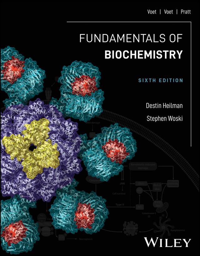 Fundamentals of Biochemistry by Charlotte W. Pratt, Destin Heilman, Donald Voet, Judith G. Voet, Stephen Woski