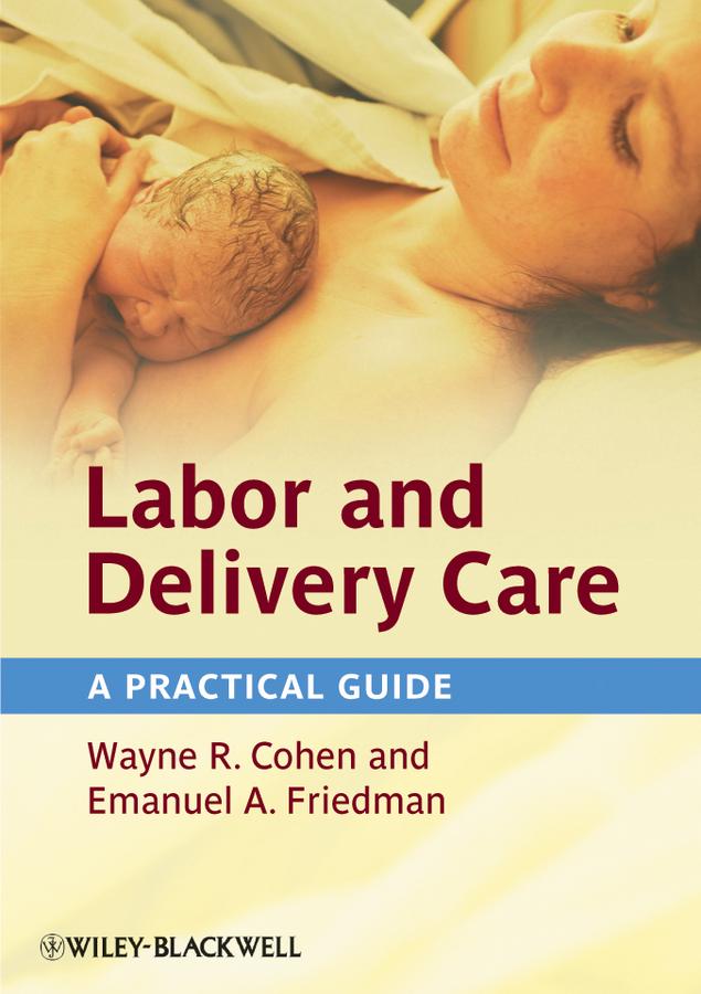 Labor and Delivery Care by Emanuel A. Friedman, Wayne R. Cohen
