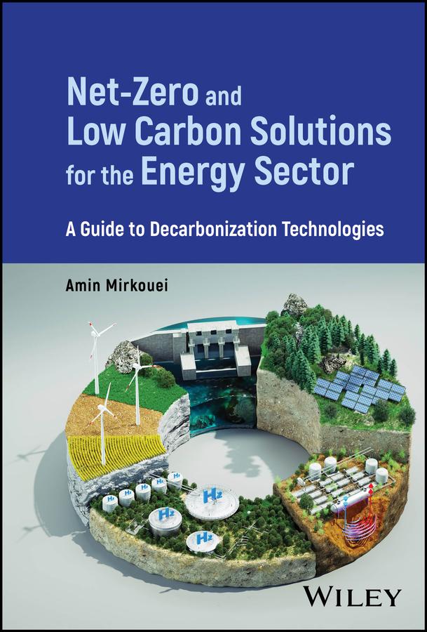 Net-Zero and Low Carbon Solutions for the Energy Sector by Amin Mirkouei