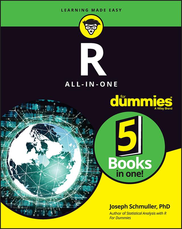 R All-in-One For Dummies by Joseph Schmuller