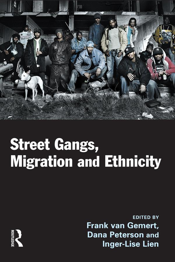 Street Gangs, Migration and Ethnicity by Dana Peterson, Frank van Gemert, Inger-Lise Lien