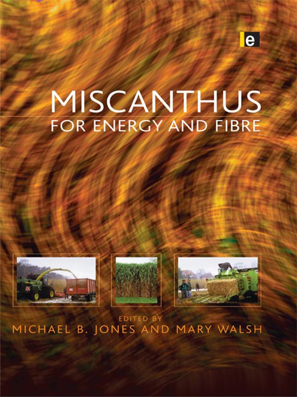 Miscanthus by Mary Walsh, Michael Jones