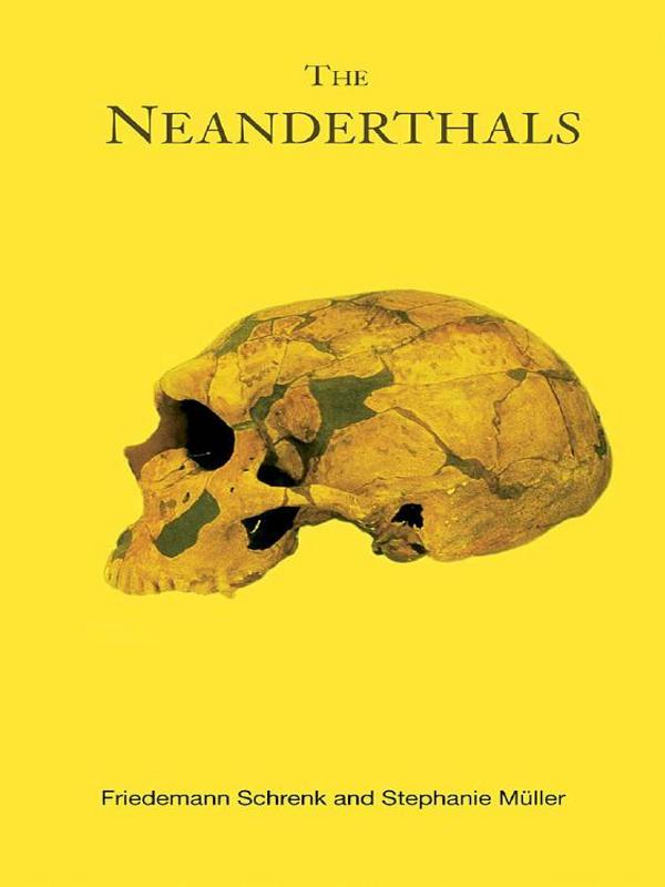 The Neanderthals by Friedemann Shrenk, Phyllis Jestice, Stephanie Muller