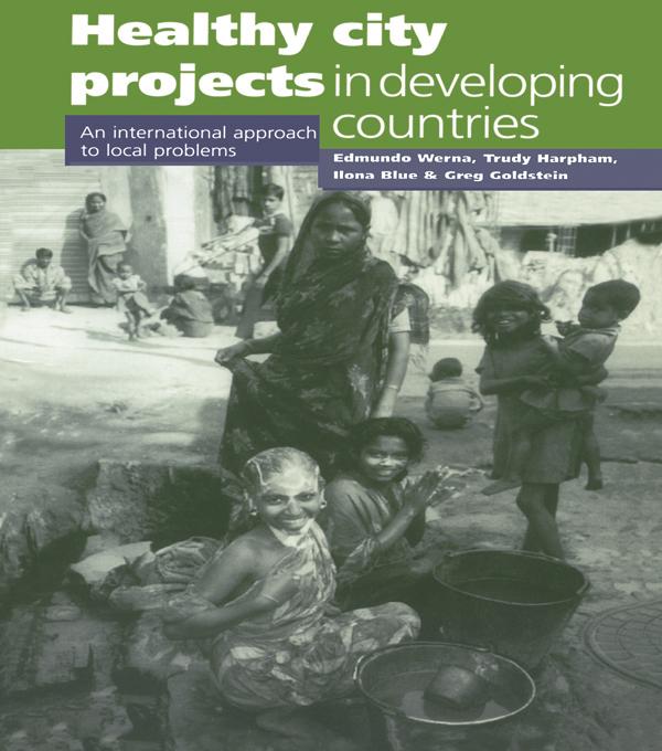 Healthy City Projects in Developing Countries by Edmundo Werna, Grey Goldstein, Ilona Blue, Trudy Harpham