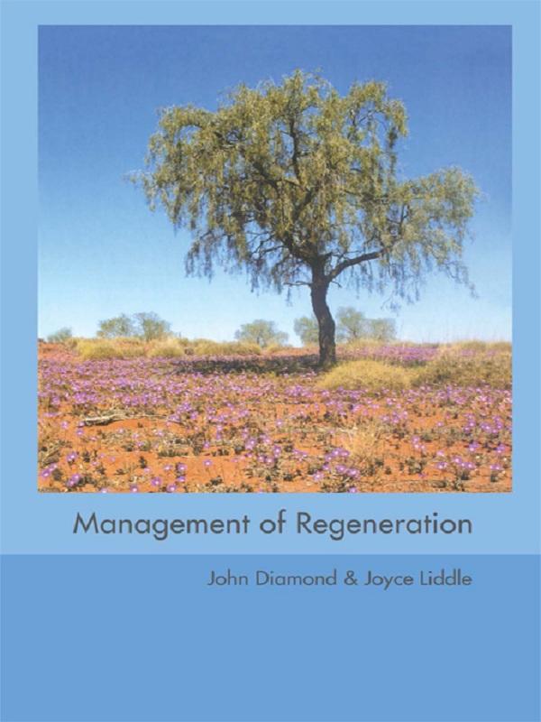 Management of Regeneration by John Diamond, Joyce Liddle
