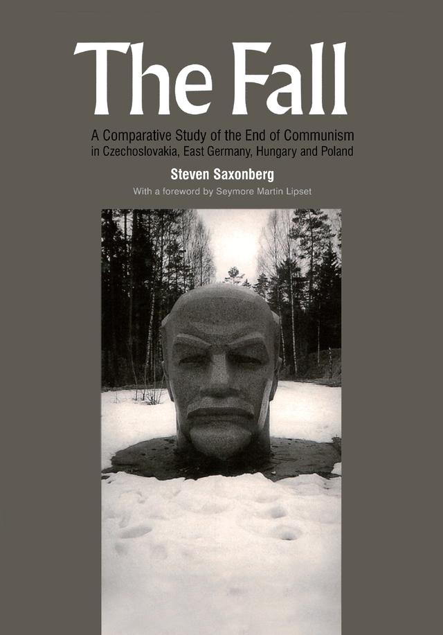 The Fall by Steven Saxonberg
