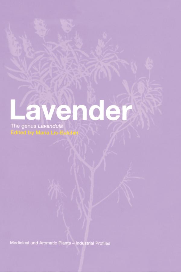 Lavender by Maria Lis-Balchin