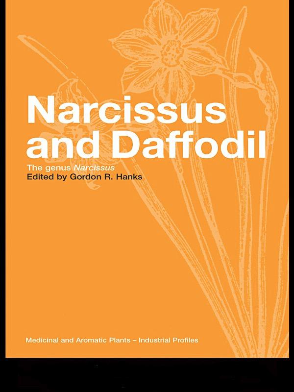 Narcissus and Daffodil by Gordon R Hanks