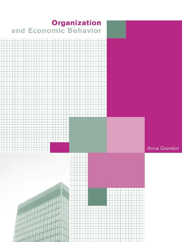 Organization and Economic Behaviour by Anna Grandori