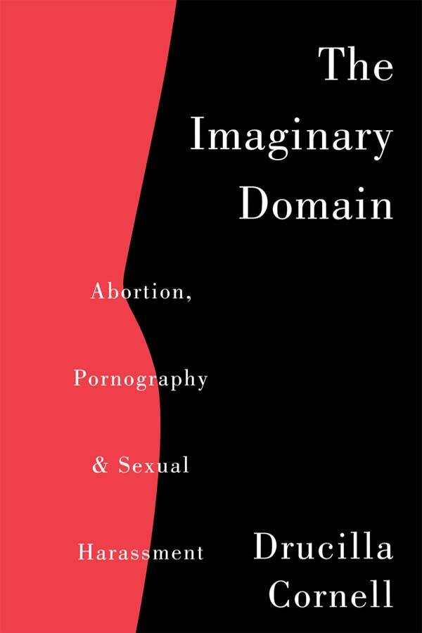 The Imaginary Domain by Drucilla Cornell