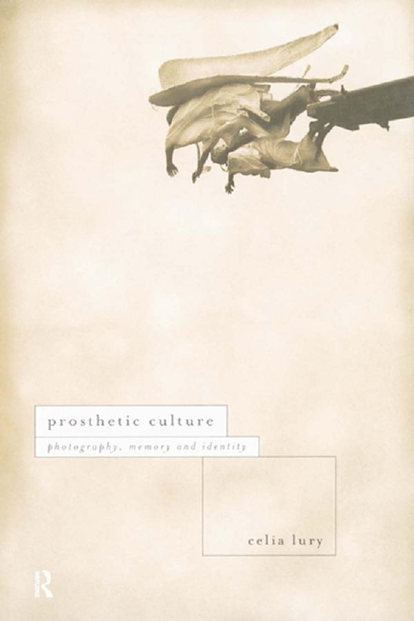 Prosthetic Culture by Celia Lury
