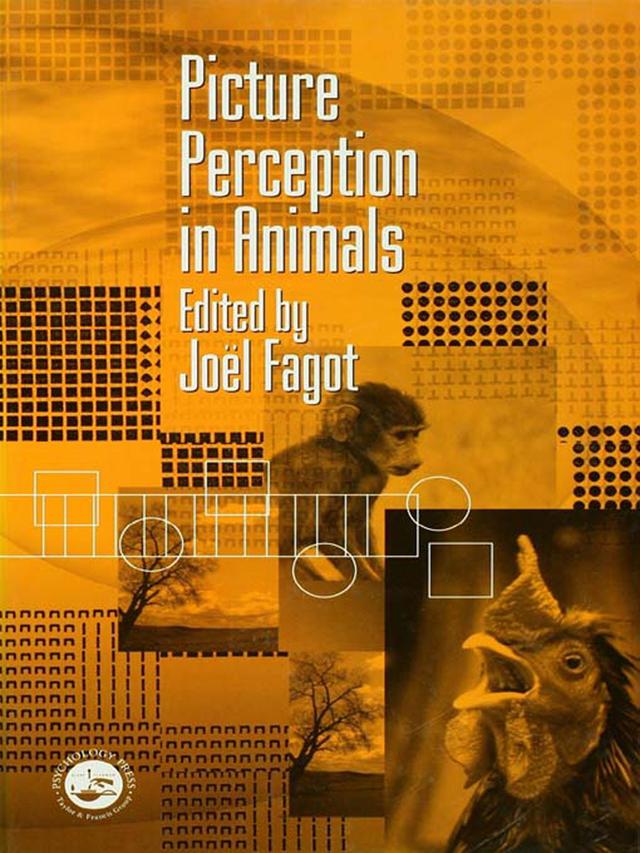 Picture Perception in Animals by Joel Fagot