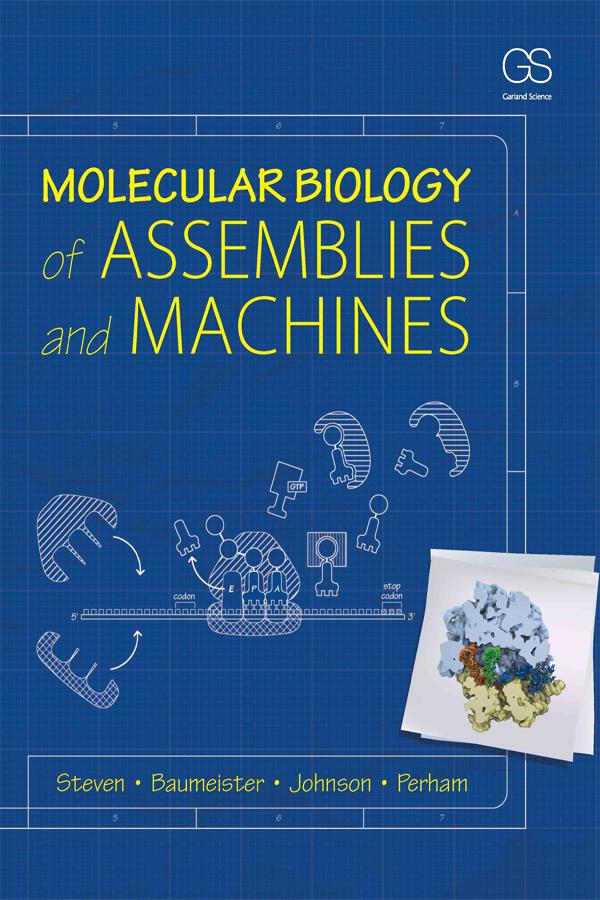 Molecular Biology of Assemblies and Machines by Alasdair Steven, Louise N. Johnson, Richard N. Perham, Wolfgang Baumeister
