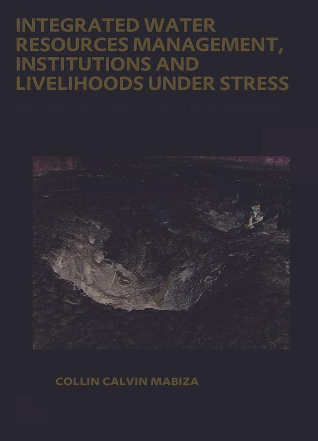 Integrated Water Resources Management, Institutions and Livelihoods under Stress by Collin C. Mabiza