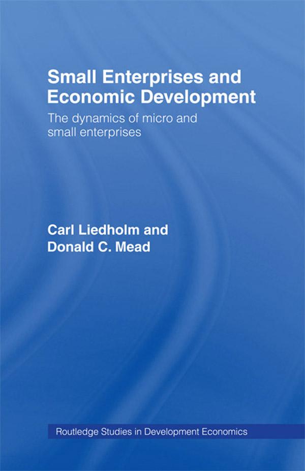 Small Enterprises and Economic Development by Carl E. Liedholm, Donald C. Mead