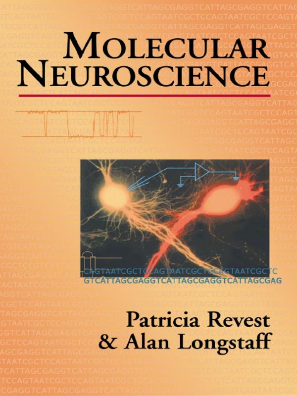 Molecular Neuroscience by Alan Longstaff, Dr P Revest