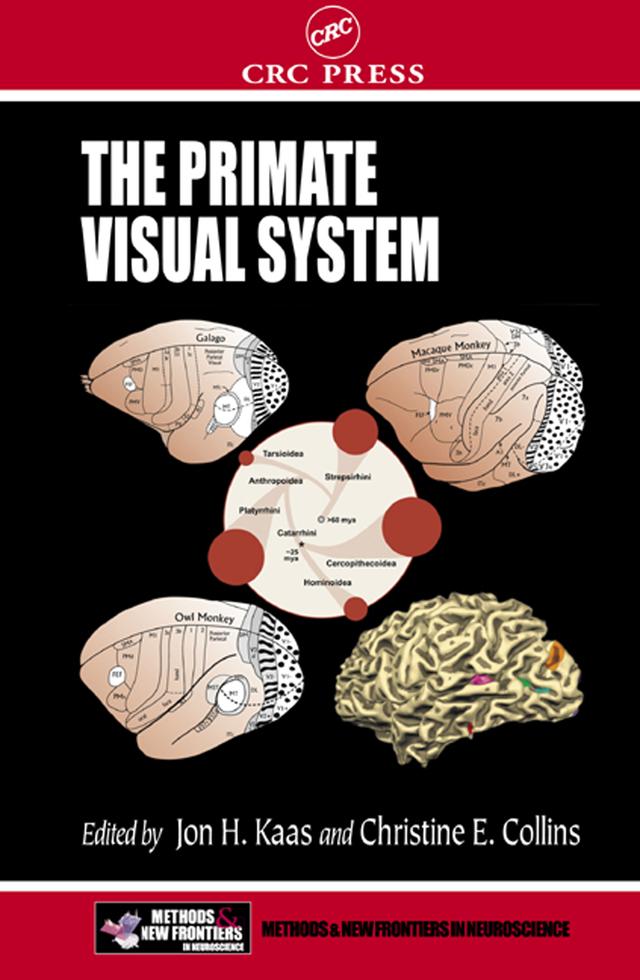 The Primate Visual System by Christine E. Collins, Jon H. Kaas