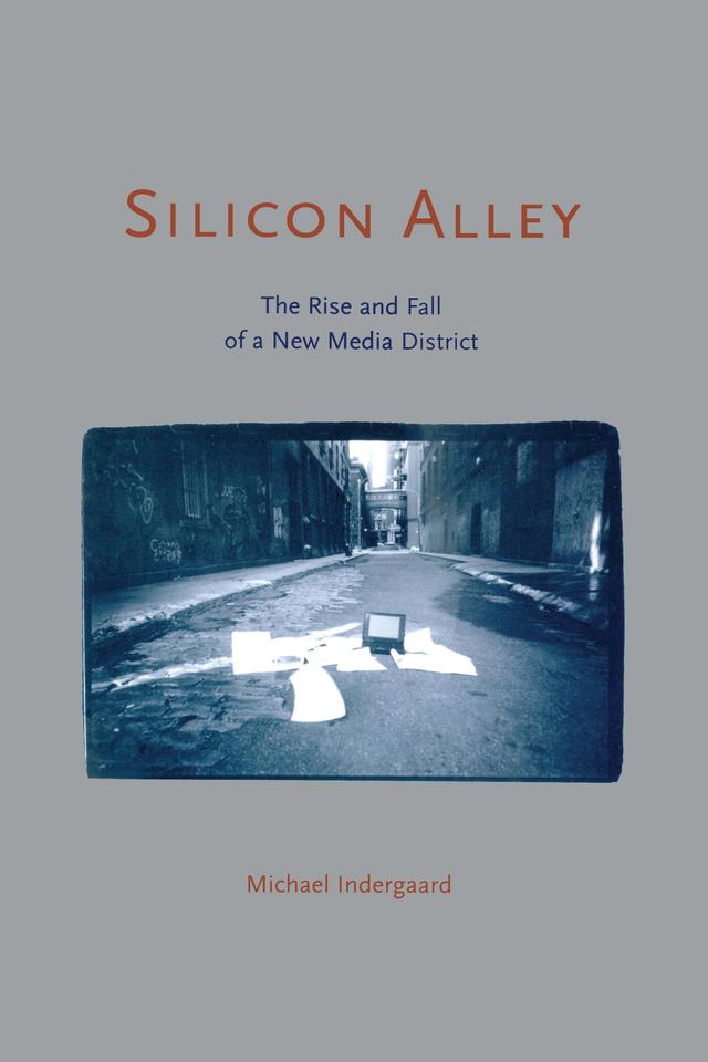 Silicon Alley by Michael Indergaard