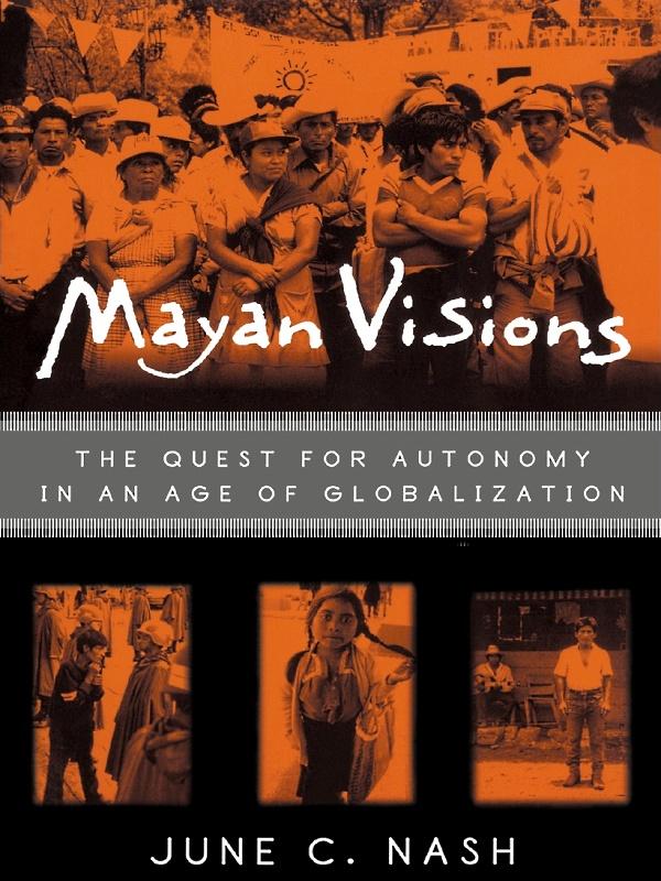 Mayan Visions